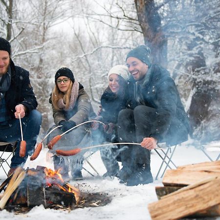 Forest Chalet, 15 Min To Salzburg Olt Town, And Most Beautiful Lakes, Secluded Location, 1,000 Sqm Garden, Mountainview, Panorama Sauna, Bath Whirlpool, Bbq&Bikes&Sunbeds For Free, Up To 10 P Golling an der Salzach Εξωτερικό φωτογραφία