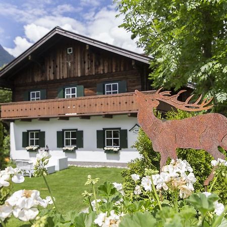 Forest Chalet, 15 Min To Salzburg Olt Town, And Most Beautiful Lakes, Secluded Location, 1,000 Sqm Garden, Mountainview, Panorama Sauna, Bath Whirlpool, Bbq&Bikes&Sunbeds For Free, Up To 10 P Golling an der Salzach Εξωτερικό φωτογραφία