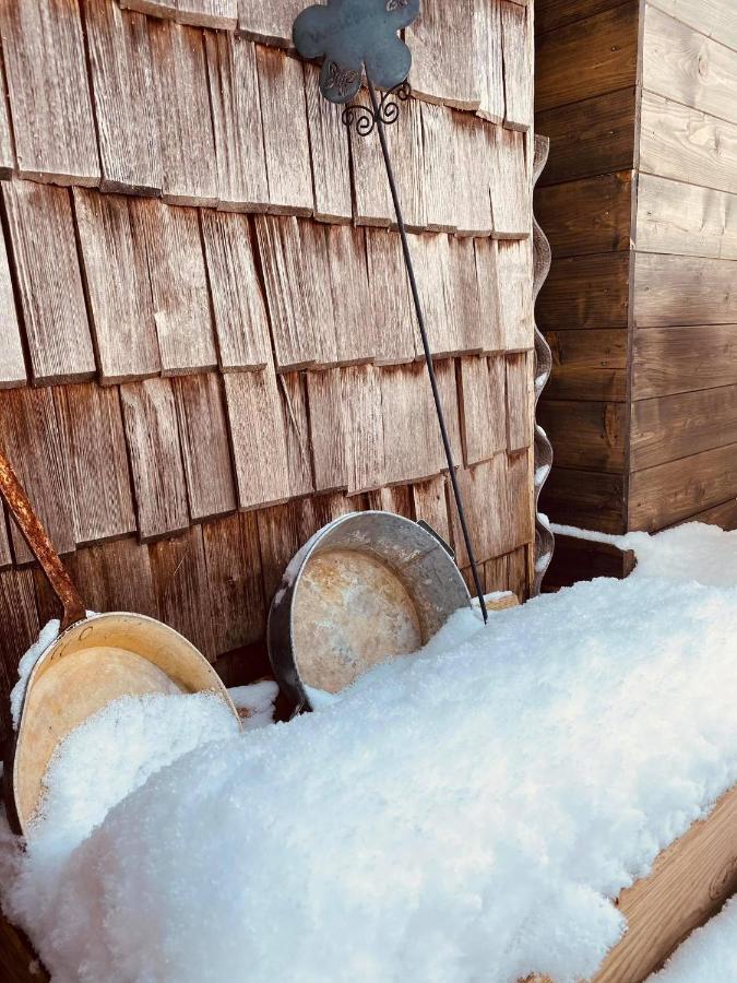 Forest Chalet, 15 Min To Salzburg Olt Town, And Most Beautiful Lakes, Secluded Location, 1,000 Sqm Garden, Mountainview, Panorama Sauna, Bath Whirlpool, Bbq&Bikes&Sunbeds For Free, Up To 10 P Golling an der Salzach Εξωτερικό φωτογραφία