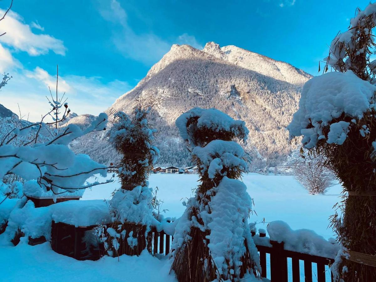 Forest Chalet, 15 Min To Salzburg Olt Town, And Most Beautiful Lakes, Secluded Location, 1,000 Sqm Garden, Mountainview, Panorama Sauna, Bath Whirlpool, Bbq&Bikes&Sunbeds For Free, Up To 10 P Golling an der Salzach Εξωτερικό φωτογραφία
