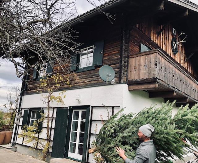 Forest Chalet, 15 Min To Salzburg Olt Town, And Most Beautiful Lakes, Secluded Location, 1,000 Sqm Garden, Mountainview, Panorama Sauna, Bath Whirlpool, Bbq&Bikes&Sunbeds For Free, Up To 10 P Golling an der Salzach Εξωτερικό φωτογραφία