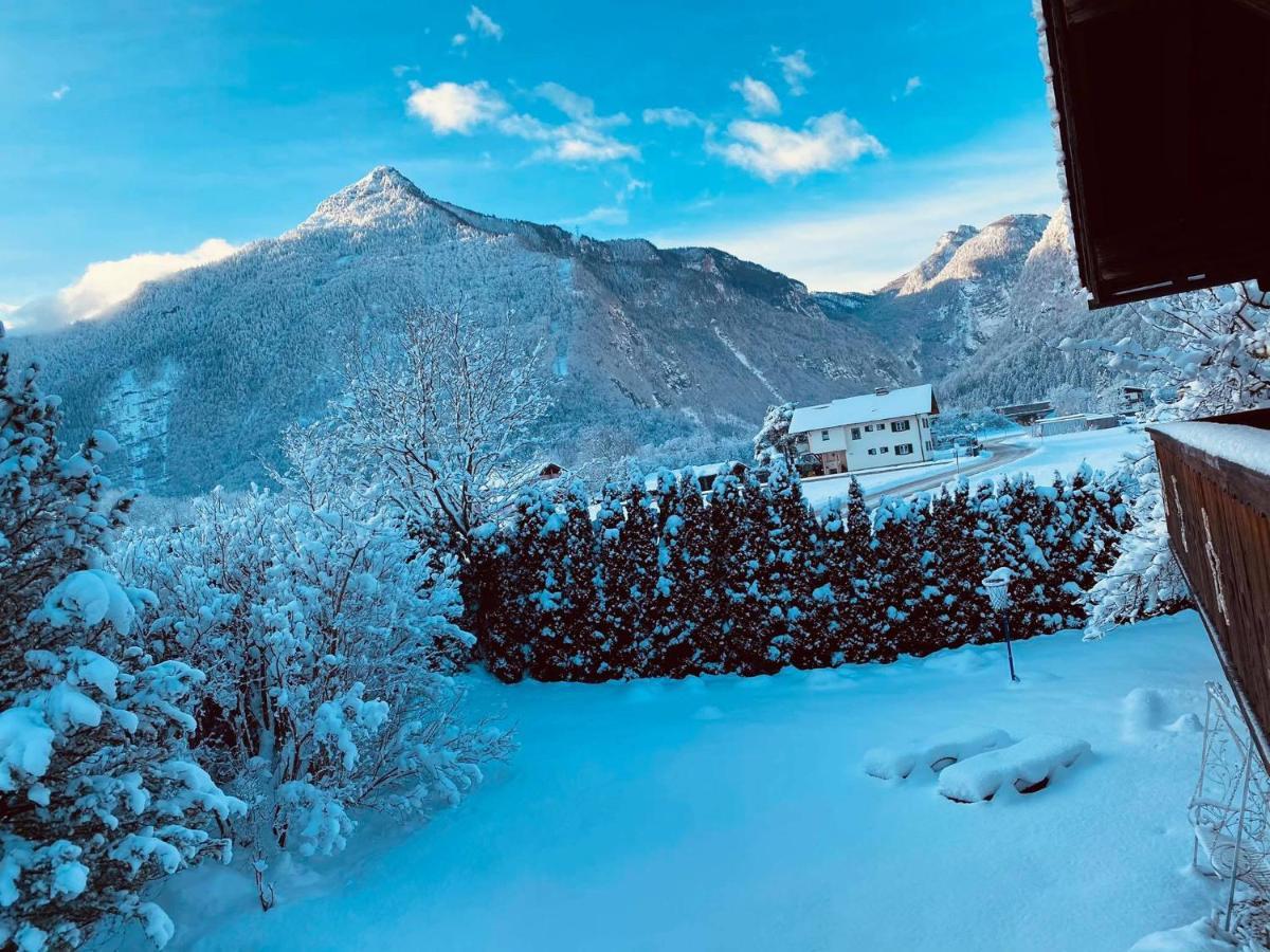 Forest Chalet, 15 Min To Salzburg Olt Town, And Most Beautiful Lakes, Secluded Location, 1,000 Sqm Garden, Mountainview, Panorama Sauna, Bath Whirlpool, Bbq&Bikes&Sunbeds For Free, Up To 10 P Golling an der Salzach Εξωτερικό φωτογραφία