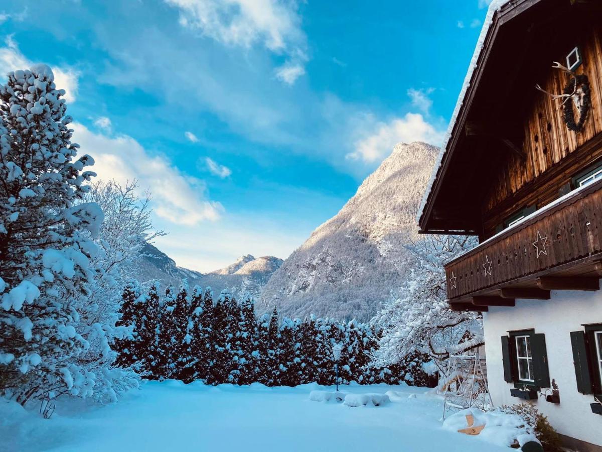 Forest Chalet, 15 Min To Salzburg Olt Town, And Most Beautiful Lakes, Secluded Location, 1,000 Sqm Garden, Mountainview, Panorama Sauna, Bath Whirlpool, Bbq&Bikes&Sunbeds For Free, Up To 10 P Golling an der Salzach Εξωτερικό φωτογραφία