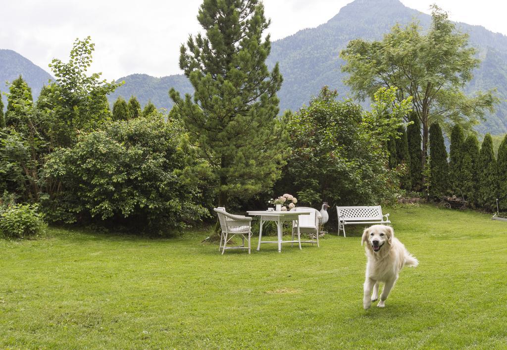 Forest Chalet, 15 Min To Salzburg Olt Town, And Most Beautiful Lakes, Secluded Location, 1,000 Sqm Garden, Mountainview, Panorama Sauna, Bath Whirlpool, Bbq&Bikes&Sunbeds For Free, Up To 10 P Golling an der Salzach Εξωτερικό φωτογραφία