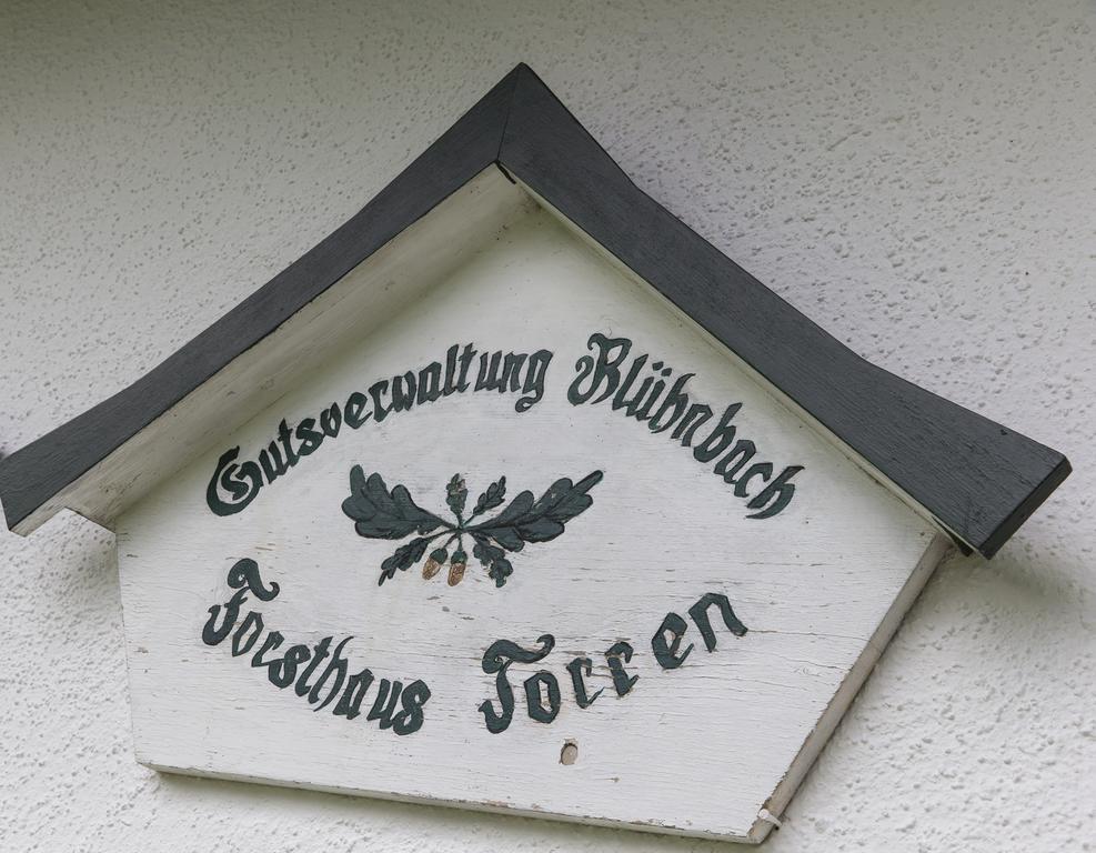 Forest Chalet, 15 Min To Salzburg Olt Town, And Most Beautiful Lakes, Secluded Location, 1,000 Sqm Garden, Mountainview, Panorama Sauna, Bath Whirlpool, Bbq&Bikes&Sunbeds For Free, Up To 10 P Golling an der Salzach Εξωτερικό φωτογραφία