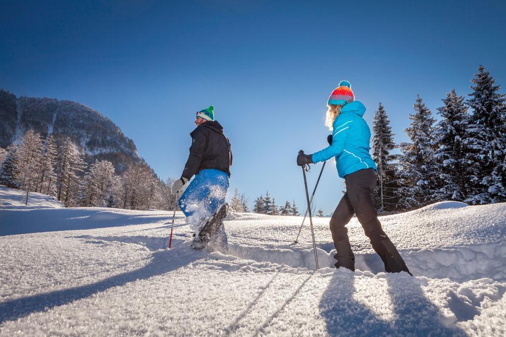 Forest Chalet, 15 Min To Salzburg Olt Town, And Most Beautiful Lakes, Secluded Location, 1,000 Sqm Garden, Mountainview, Panorama Sauna, Bath Whirlpool, Bbq&Bikes&Sunbeds For Free, Up To 10 P Golling an der Salzach Εξωτερικό φωτογραφία