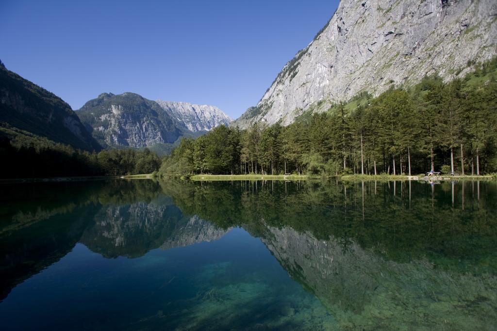 Forest Chalet, 15 Min To Salzburg Olt Town, And Most Beautiful Lakes, Secluded Location, 1,000 Sqm Garden, Mountainview, Panorama Sauna, Bath Whirlpool, Bbq&Bikes&Sunbeds For Free, Up To 10 P Golling an der Salzach Εξωτερικό φωτογραφία